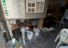Guarda Ambiental flagra despejo irregular de resíduos no Ano Bom