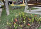 Prefeitura entrega revitalização da Praça Cacique, na Margem Direita