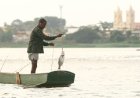 Leis da Alerj fortalecem direitos dos pescadores e reforçam importância da economia do Mar no Rio