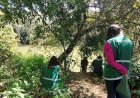 Prefeitura de Três Rios inicia monitoramento da fauna com armadilhas fotográficas em áreas de preservação
