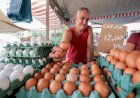Frutas da estação e preços mais em conta: no dia do feirante, ALERJ destaca leis de incentivo às feiras