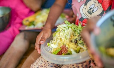 Governo Federal aprova o Plano Alimento no Prato