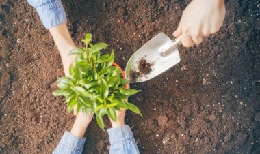 Porto Real pontua no ICMS Ecológico por Educação Ambiental