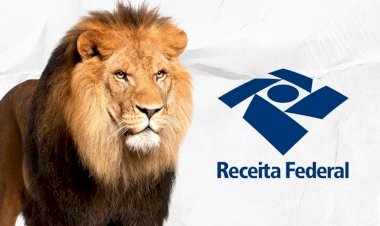 IRPF 2025: saiba tudo sobre a declaração