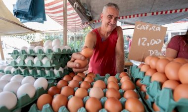 Frutas da estação e preços mais em conta: no dia do feirante, ALERJ destaca leis de incentivo às feiras