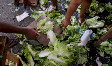 Entre o desperdício e o prato vazio: Leis da Alerj incentivam doações e o combate à fome