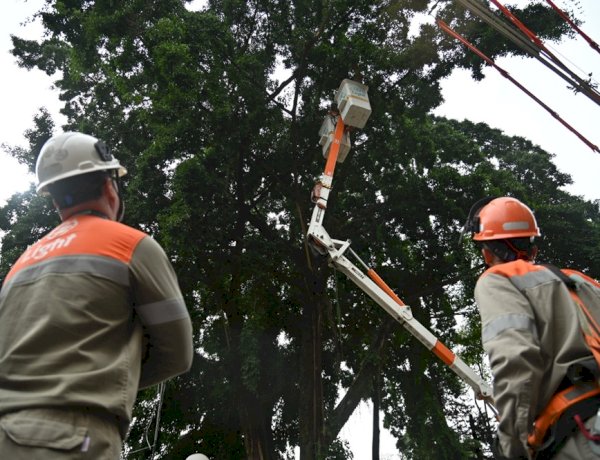 Prefeitura de Barra Mansa e Light unem forças para intensificar poda preventiva e manutenção da rede elétrica
