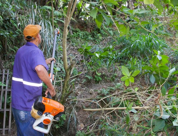 Prefeitura intensifica mutirão de serviços e leva melhorias ao bairro Paraíso de Baixo