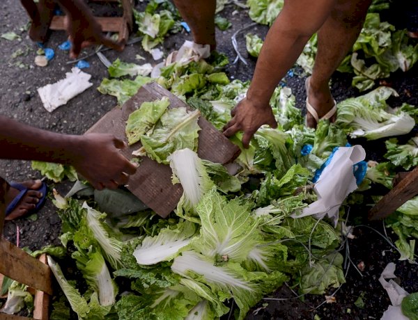 Entre o desperdício e o prato vazio: Leis da Alerj incentivam doações e o combate à fome