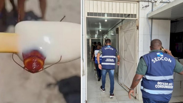 Procon-RJ interdita fábrica após caso da barata em picolé