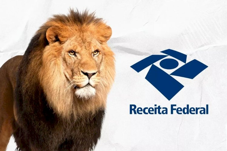 IRPF 2025: saiba tudo sobre a declaração