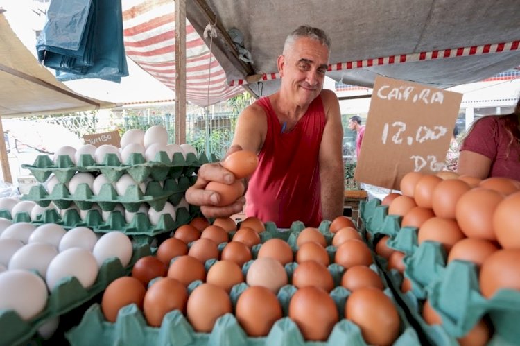 Frutas da estação e preços mais em conta: no dia do feirante, ALERJ destaca leis de incentivo às feiras