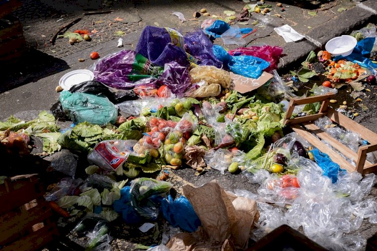 Entre o desperdício e o prato vazio: Leis da Alerj incentivam doações e o combate à fome