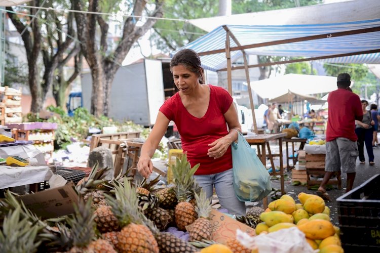 Entre o desperdício e o prato vazio: Leis da Alerj incentivam doações e o combate à fome