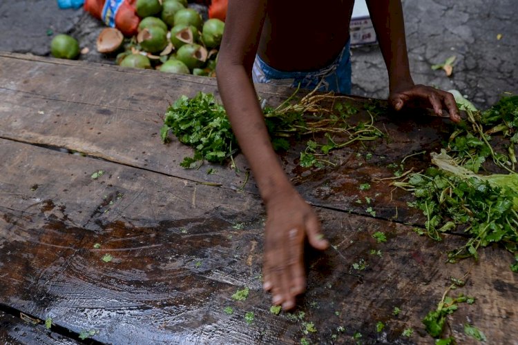 Entre o desperdício e o prato vazio: Leis da Alerj incentivam doações e o combate à fome